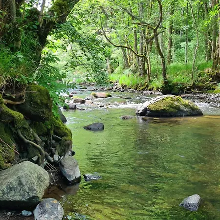 & La Santoire Kemp Saint-Bonnet-de-Condat